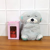 Soft Plush Teddy Bear with Heart-Shaped Love Showpiece Gift Set (2 Pc Set)
