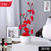 Blossom Plant