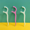 Dental Floss Picks  Hygienic  Effective Oral Care On The Go