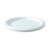 Serving Plate